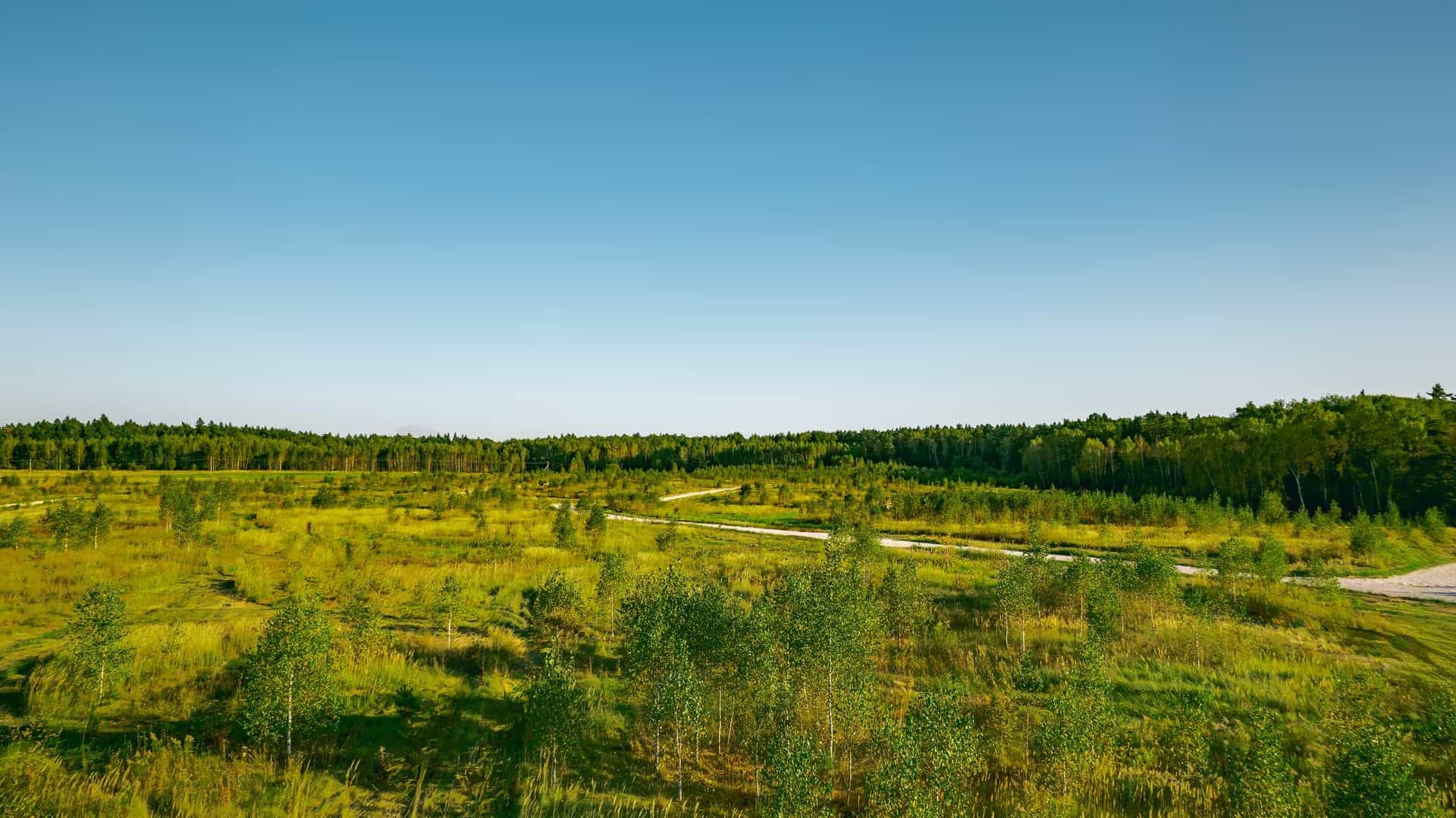Участок S24, 9,5 соток у леса — КП River Wood, Ступино