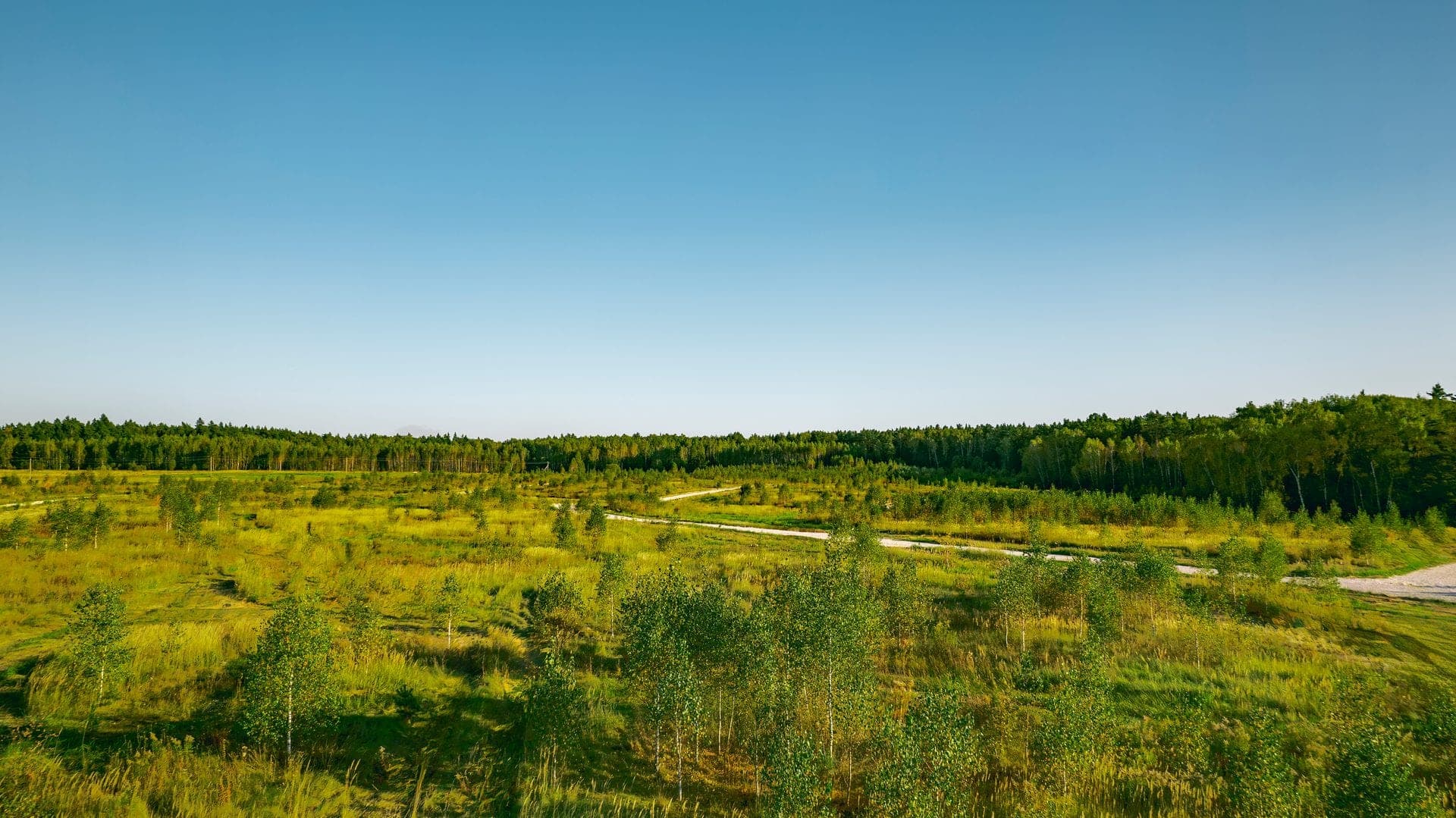 Участок M51, 9,5 соток с деревьями — КП River Wood, Ступино