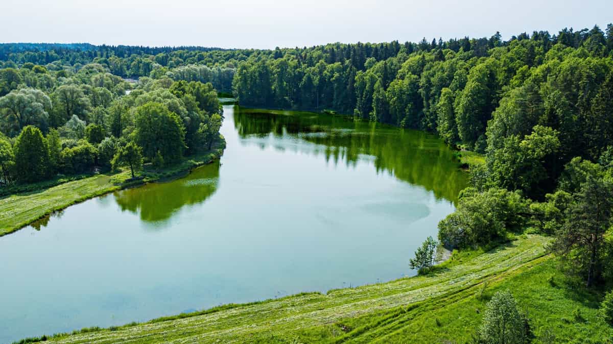 Участок E43, 13 соток примыкает к лесу — КП Shelkovo River, Ступино - фото 1