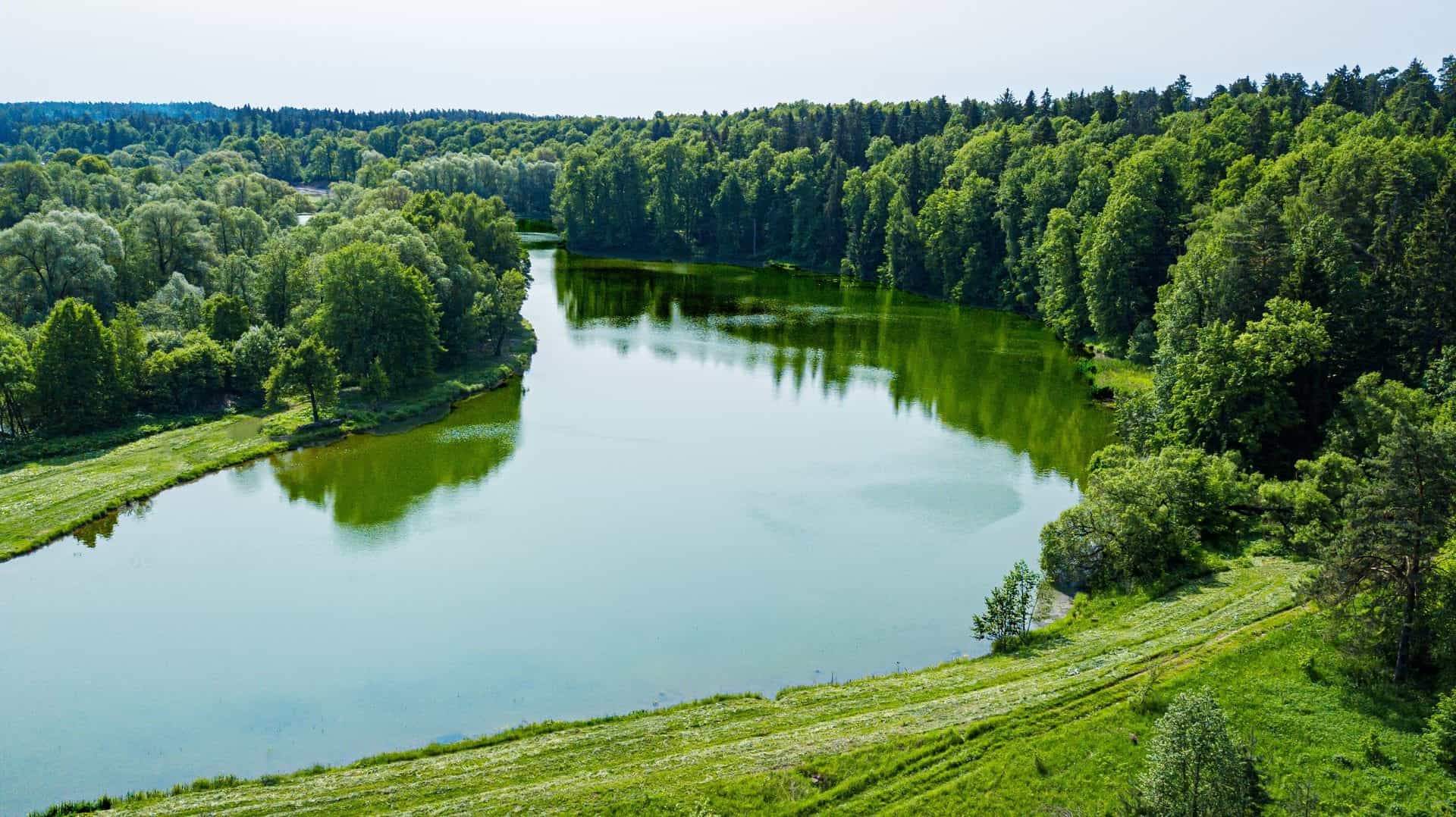 Участок T55, 11 соток луговой — КП Shelkovo River, Ступино