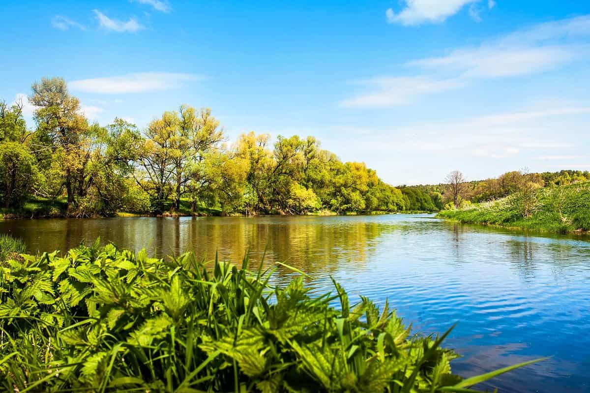 Участок T12, 9,5 соток луговой — КП Shelkovo River, Ступино - фото 1