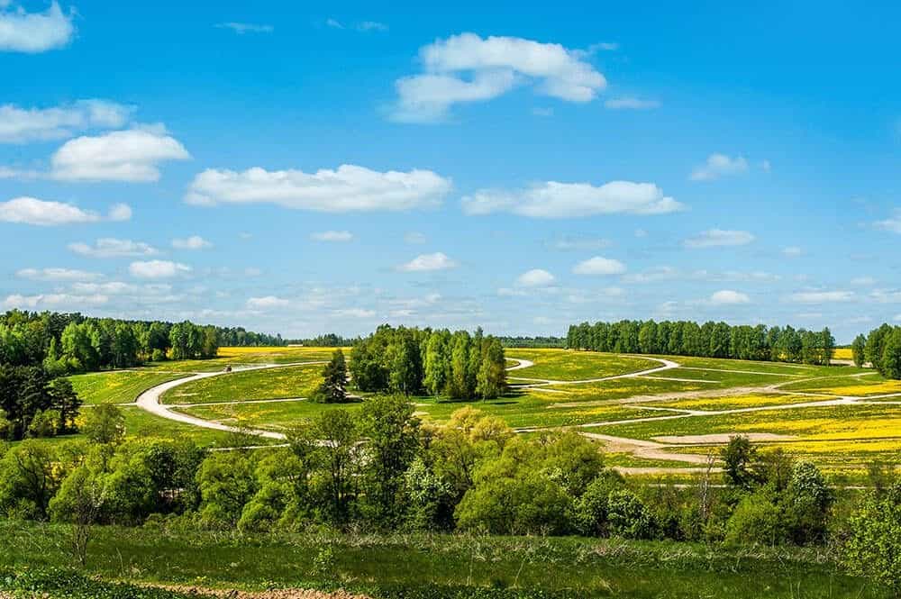Участок N36, 10 соток луговой — КП Shelkovo Forest, Ступино - фото 1
