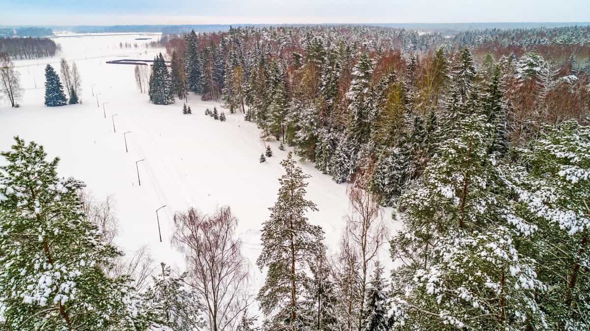 Участок N57, 9 соток с видом на лес — КП Shelkovo Forest, Ступино - фото 1