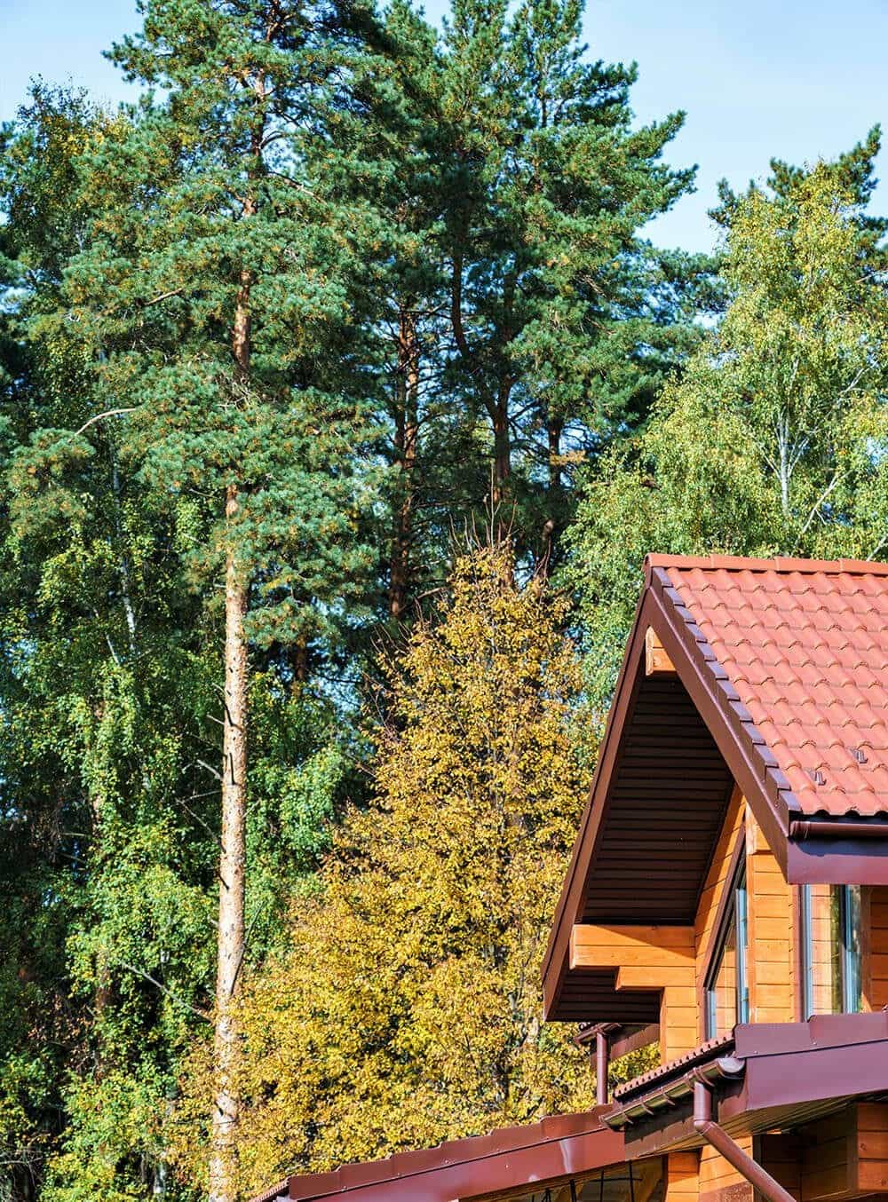 Участок M65, 11 соток с видом на лес — КП Shelkovo Forest, Ступино - фото 1