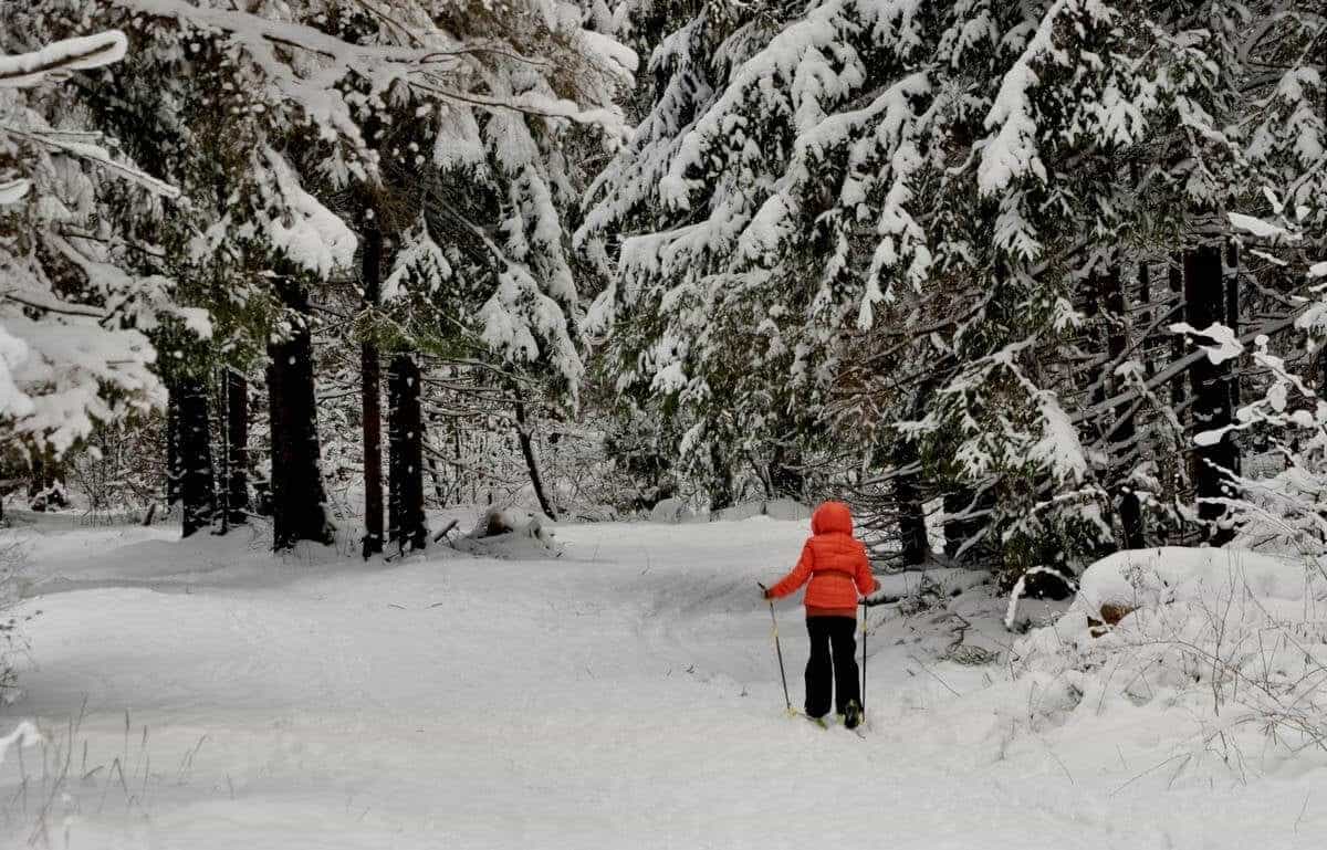Участок M57, 11,41 соток луговой — КП Shelkovo Forest, Ступино - фото 1