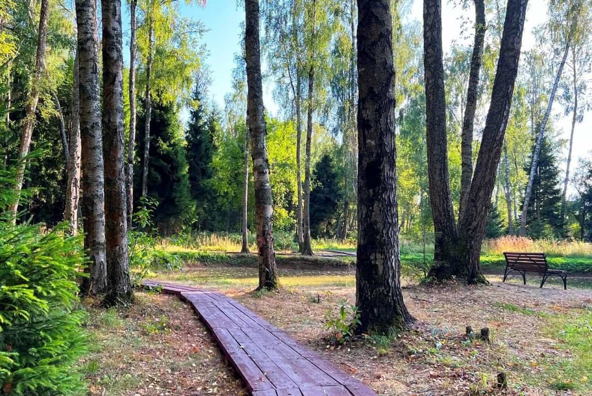 Участок M26, 10 соток с видом на лес — КП Shelkovo Forest, Ступино - фото 1