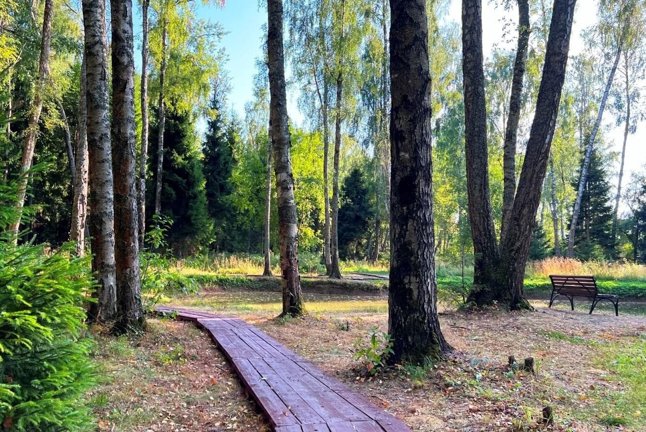 Участок N3, 9 соток с видом на лес — КП Shelkovo Forest, Ступино