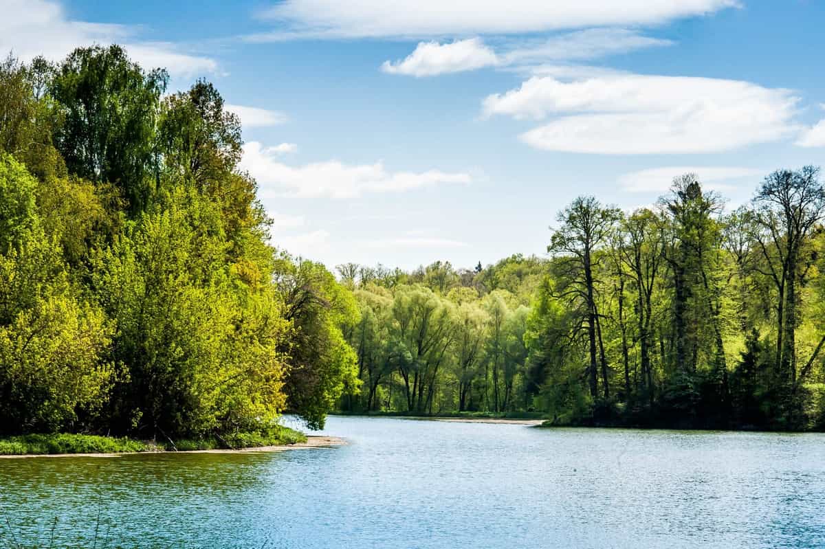 Участок C71, 10 соток с видом на лес — КП Shelkovo Park, Ступино - фото 1