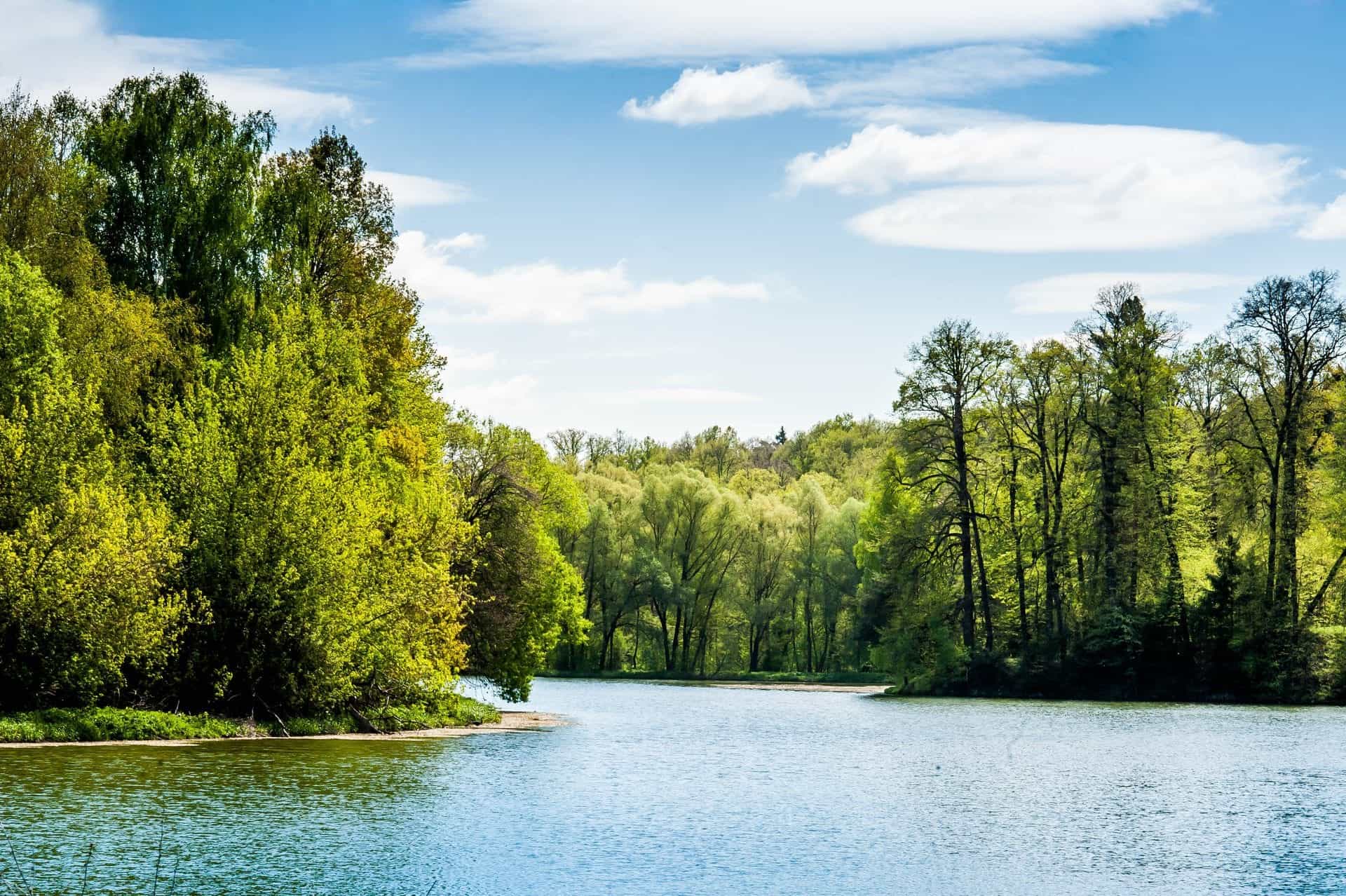 Участок B36, 9 соток с видом на лес — КП Shelkovo Park, Ступино