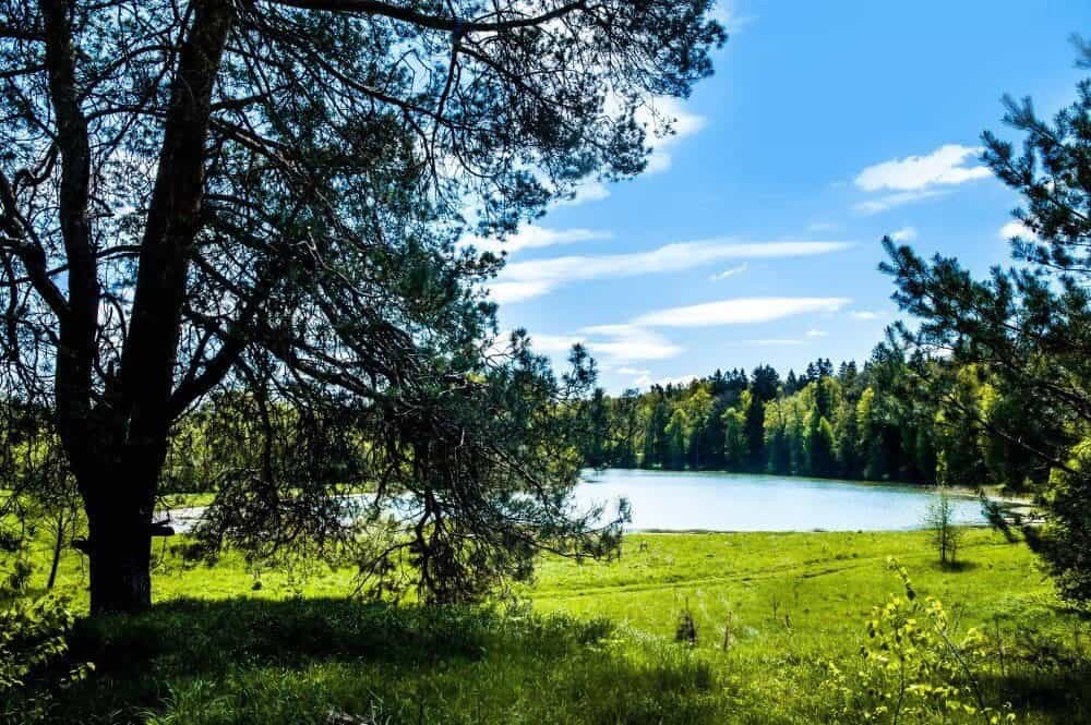 Участок E76, 8,5 соток с видом на лес — КП Shelkovo Village, Ступино - фото 1