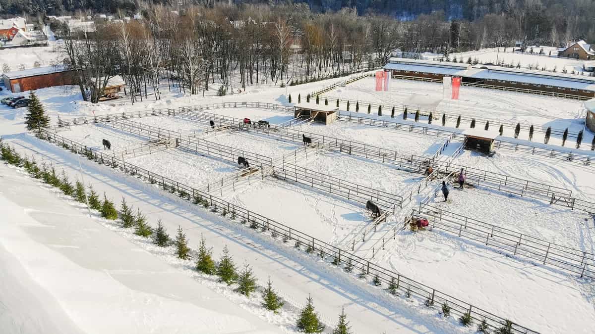 Участок W77, 10,55 соток лес на участке — КП White Park, Ступино - фото 1