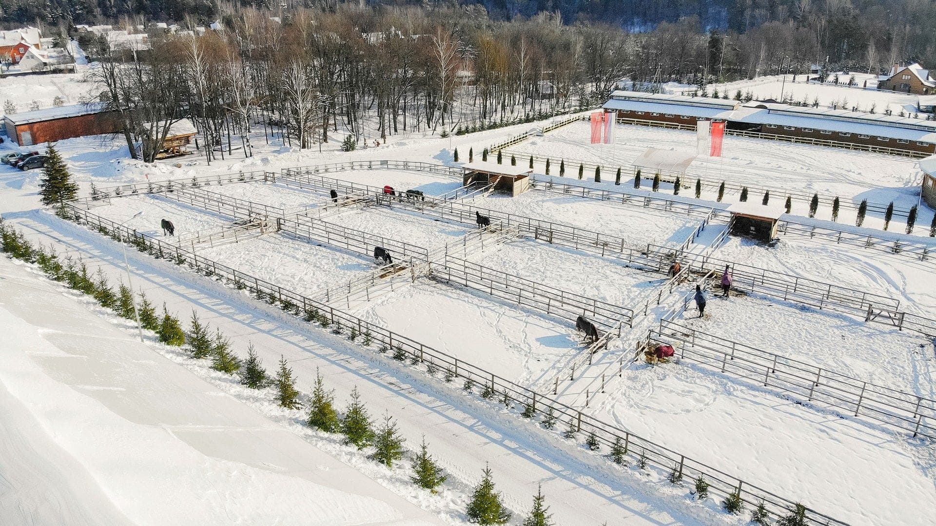 Участок W77, 10,55 соток лес на участке — КП White Park, Ступино