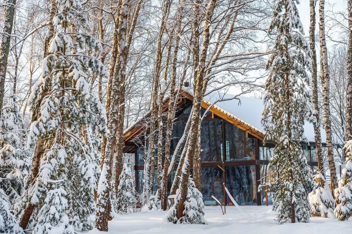 Участок W74, 10 соток лес на участке — КП White Park, Ступино - фото 1