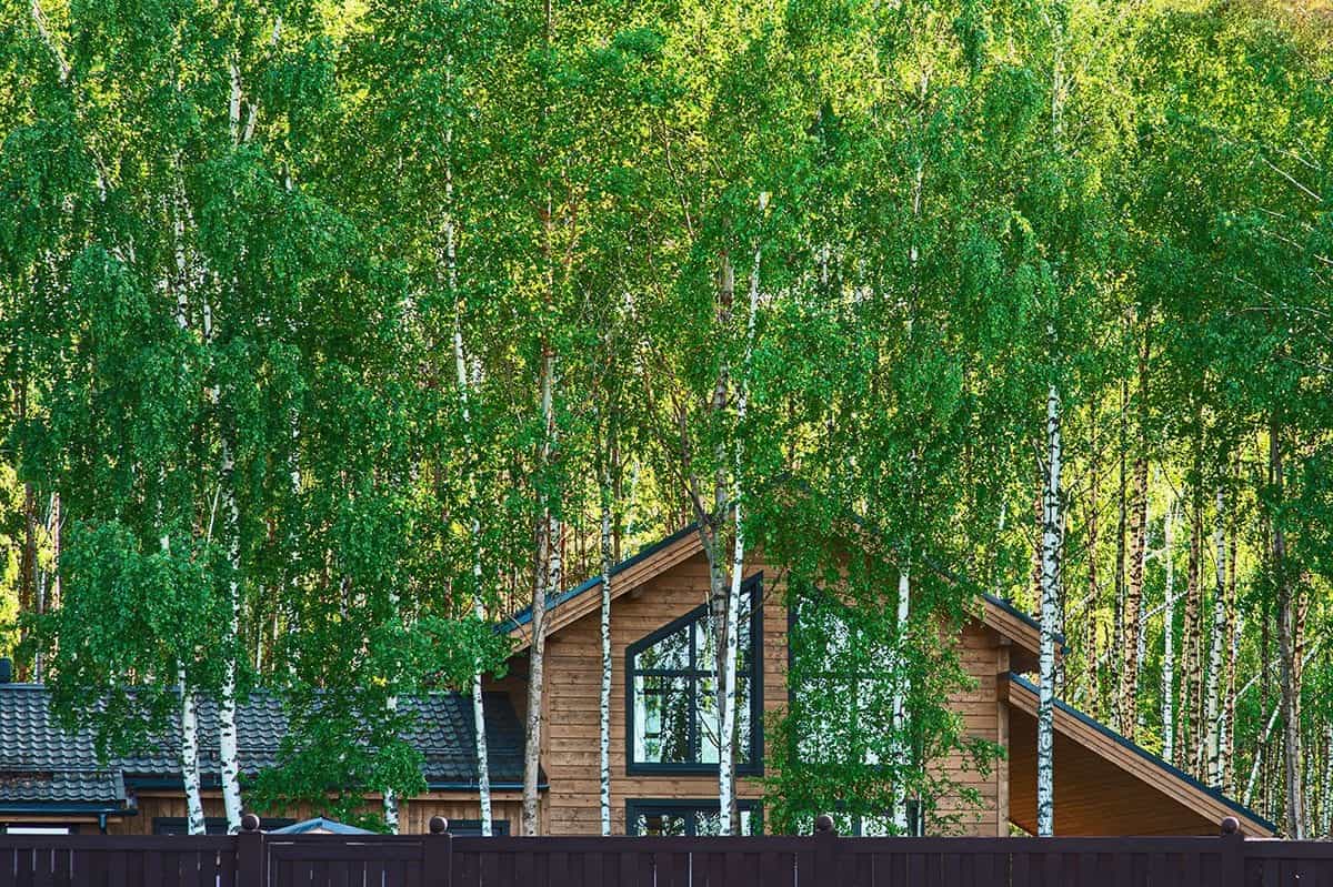 Участок R34, 9 соток лес на участке — КП White Park, Ступино - фото 1