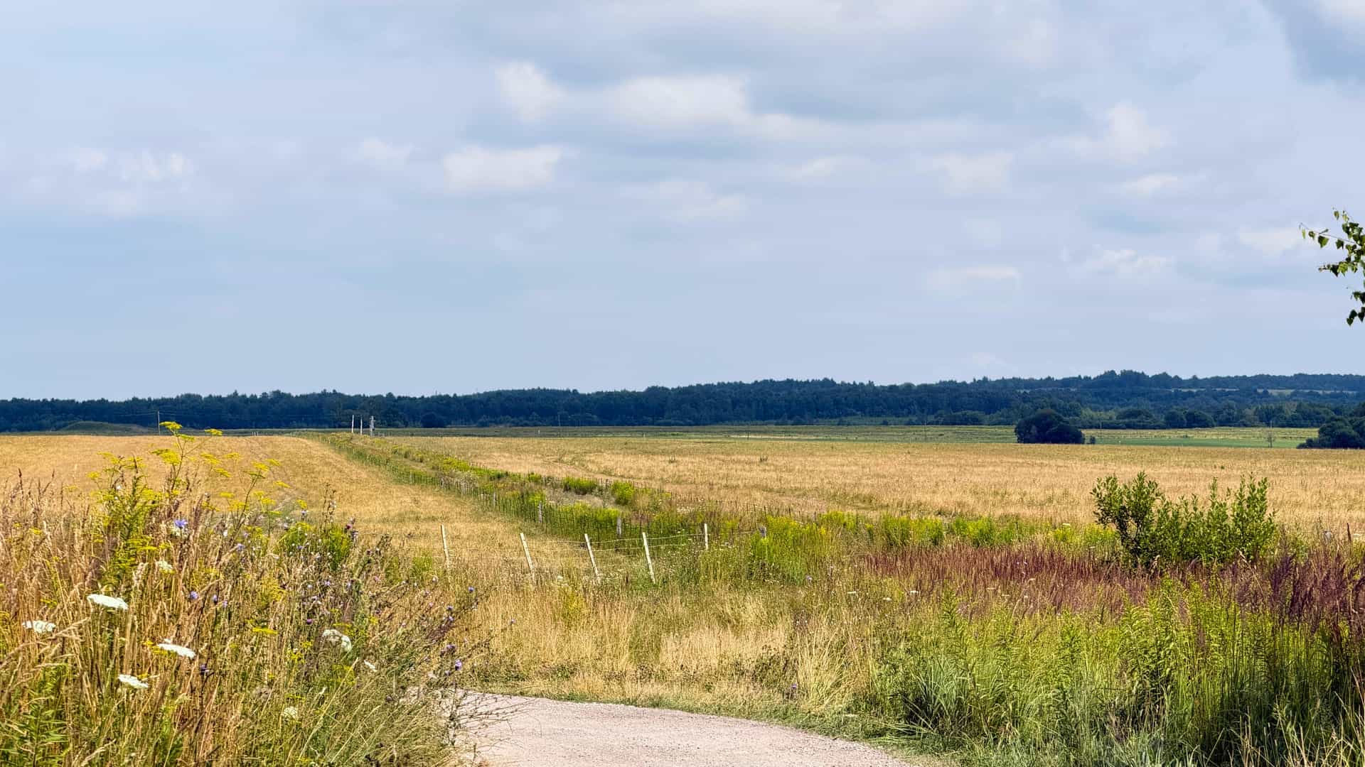 15 соток ИЖС в деревне Пятерное (Тульская область) - место, где хочется остаться. - фото 6