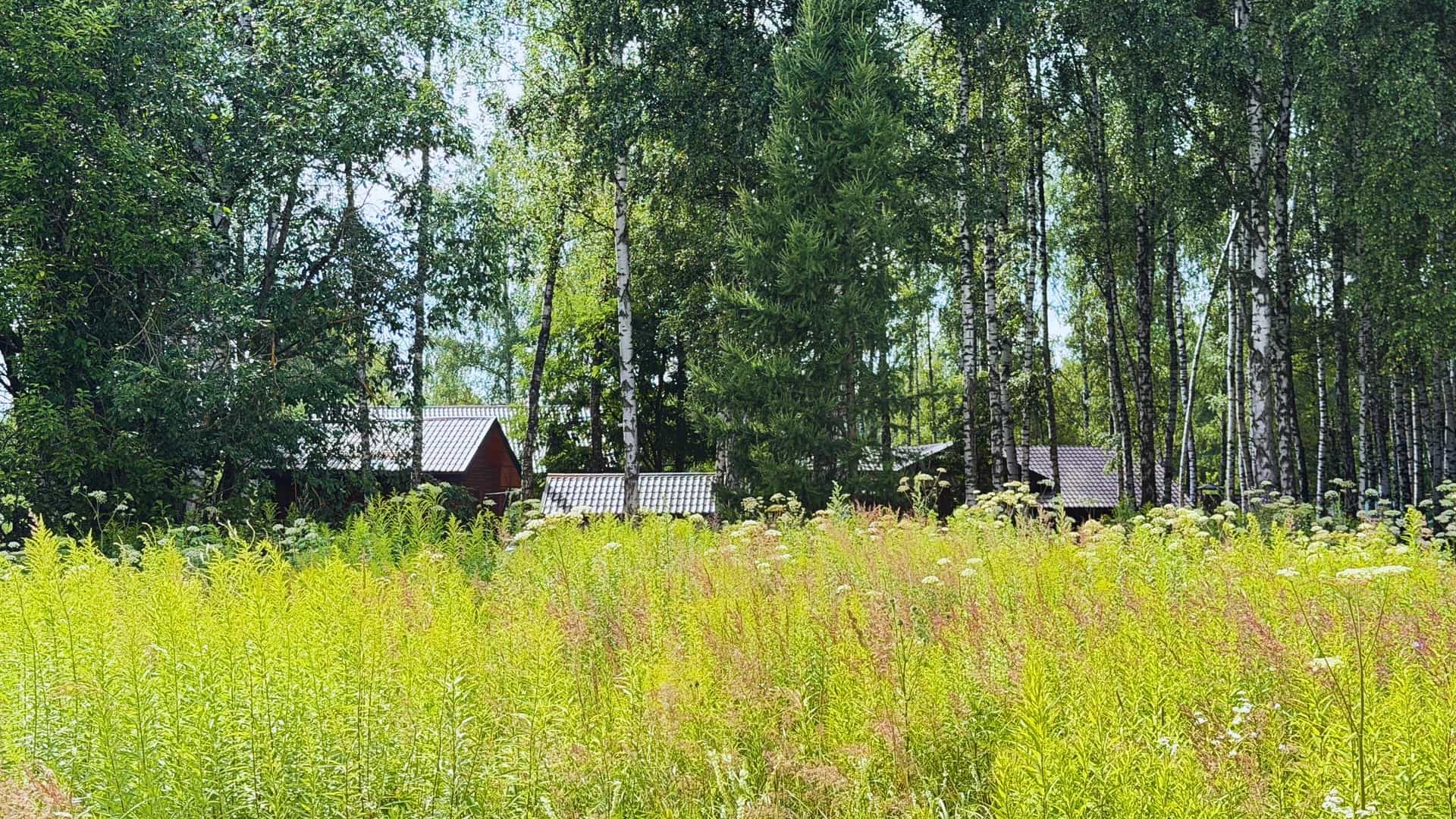 15 соток ИЖС в деревне Пятерное (Тульская область) - место, где хочется остаться. - фото 9
