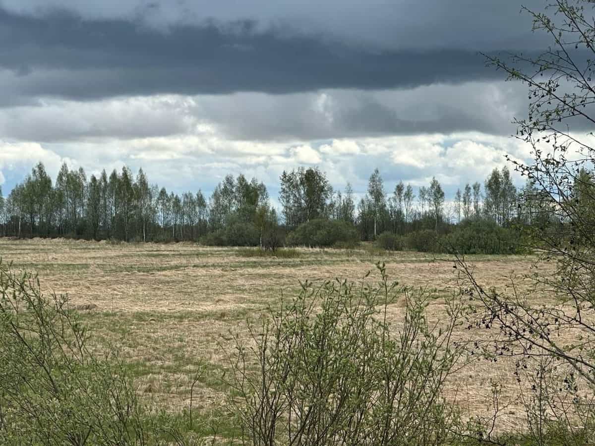Земельный участок 6 соток в деревне Александровка — 159 км от МКАД по Новорижскому шоссе - фото 1
