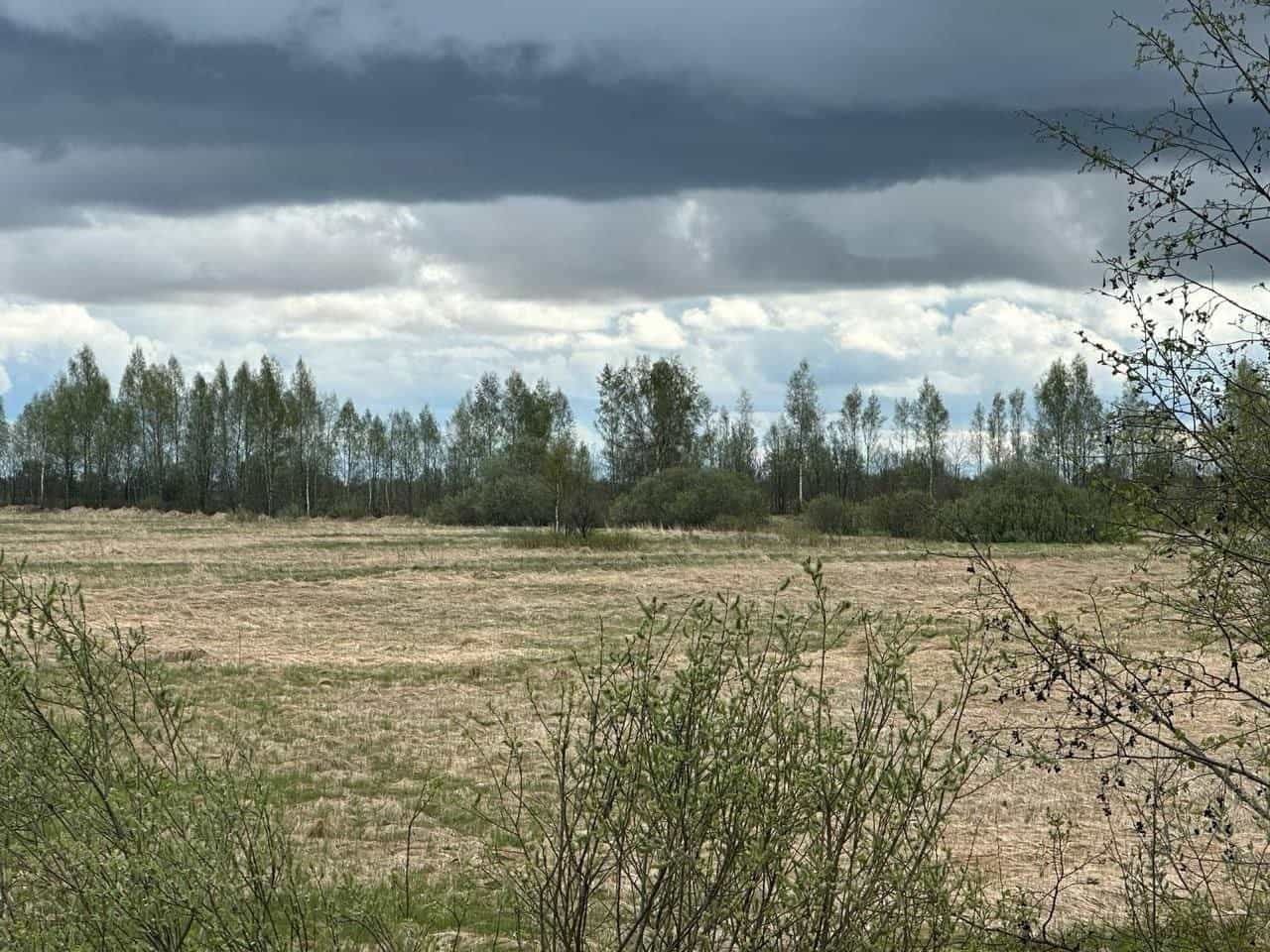 Земельный участок 6 соток в деревне Александровка — газ, свет и вода по границе - фото 2