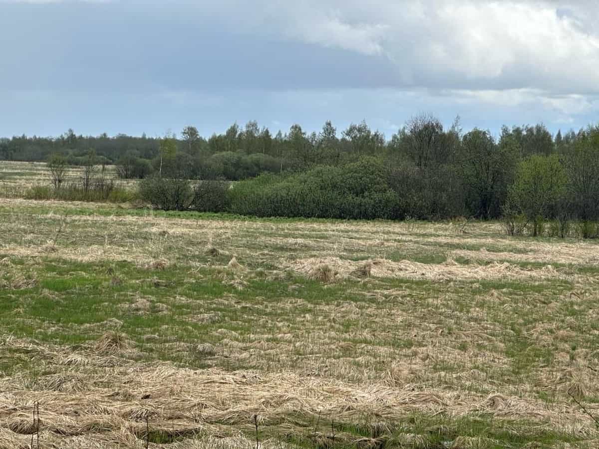 Ровный участок 6 соток под ИЖС, деревня Александровка — коммуникации подведены по границе - фото 1