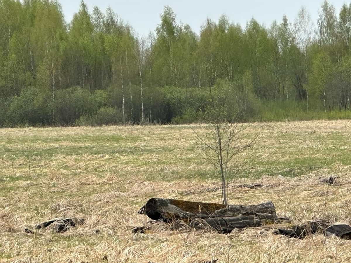 6 соток под строительство дома в Тверской области — тихое место рядом с лесом и полями - фото 1