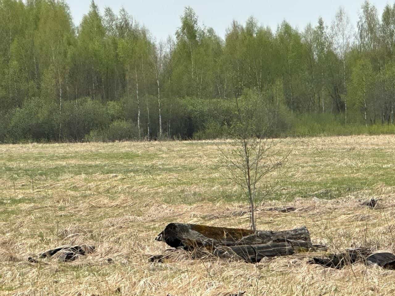 6 соток под строительство дома в Тверской области — тихое место рядом с лесом и полями
