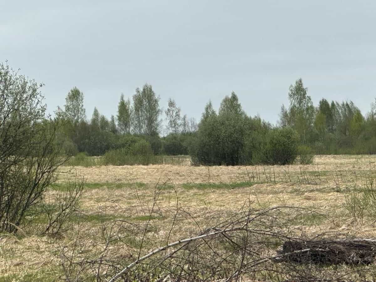 Ровный участок 6 соток под ИЖС, деревня Александровка — ровная сухая земля правильной формы - фото 1
