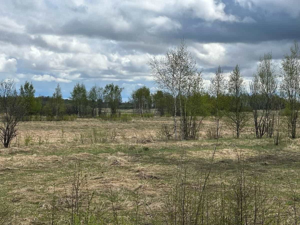 ИЖС 6,06 соток в Зубцовском округе Тверской области — без обременений, документы готовы - фото 1