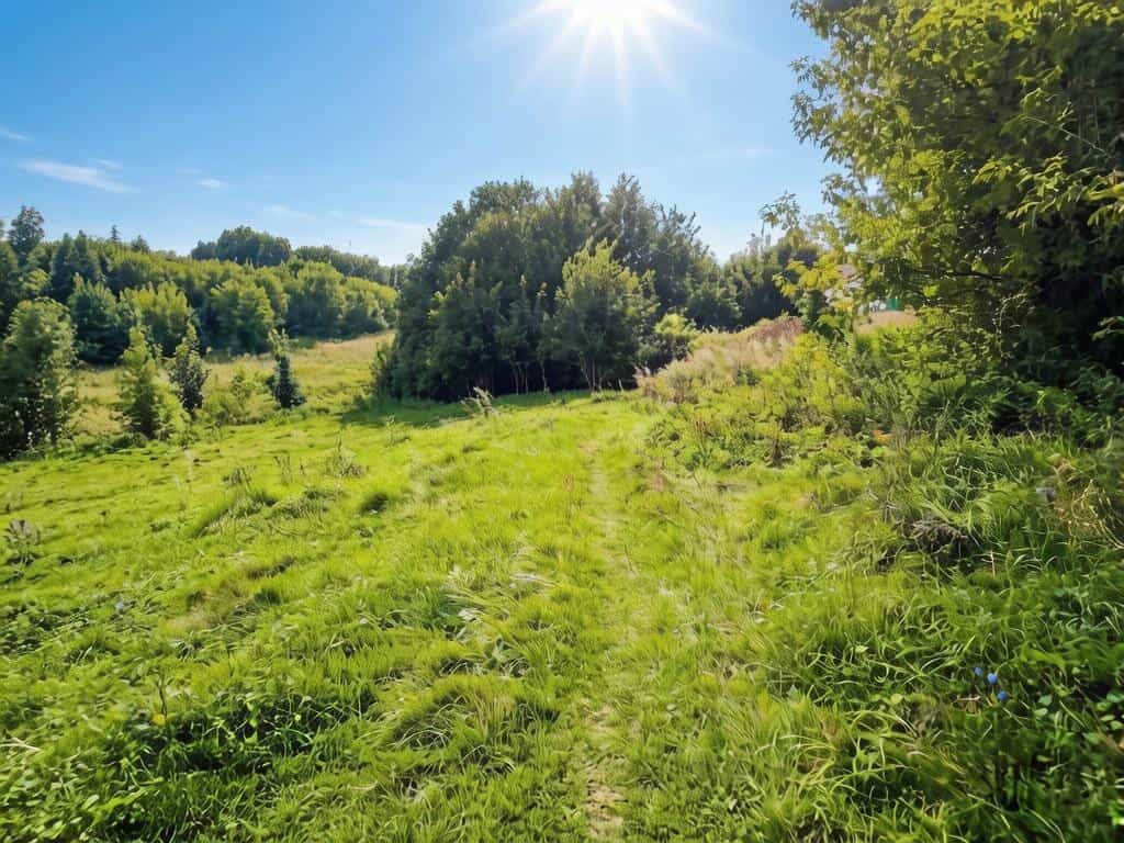 Продам земельный участок 8 соток в живописном месте без соседей. Прямая продажа - фото 2